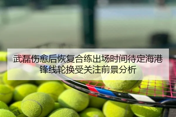 武磊伤愈后恢复合练出场时间待定海港锋线轮换受关注前景分析